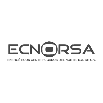 Logos Gris_Ecnorsa